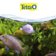 thumbnail image 2 of Tetrapro Tropical Crisp 2.4 Oz 67 g Tetra, 2 of 2
