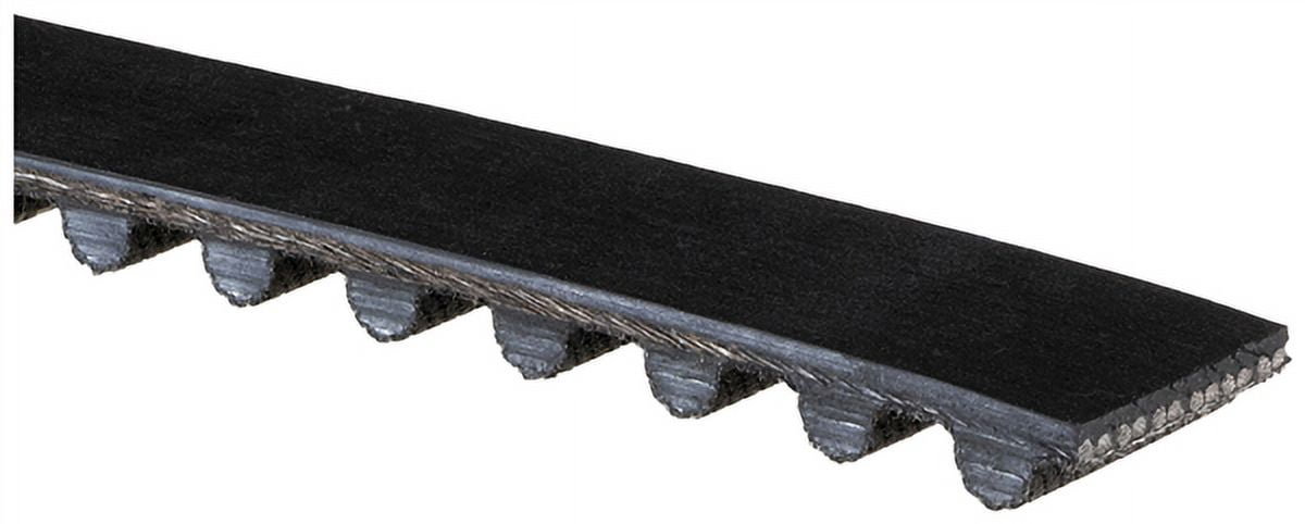 Timing Belt (PARITY)