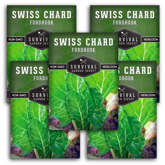 5 packs Fordhook Swiss Chard Seeds - Non-GMO Heirloom Full Sun Annual Vegetable