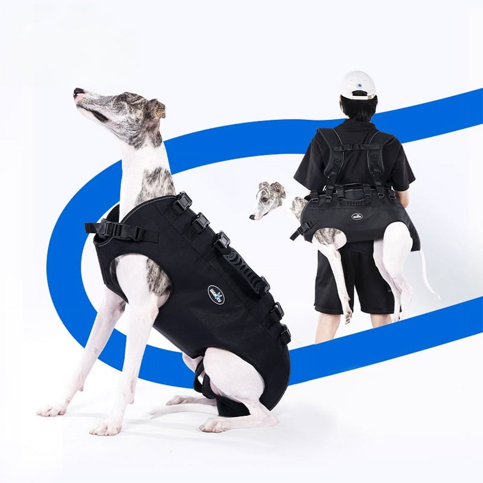 Hands-Free Pet Carrier: Wakytu C80 Pet Carrier: Convenient and Stylish Dog Backpack for Everyday Use and Outdoor Adventures