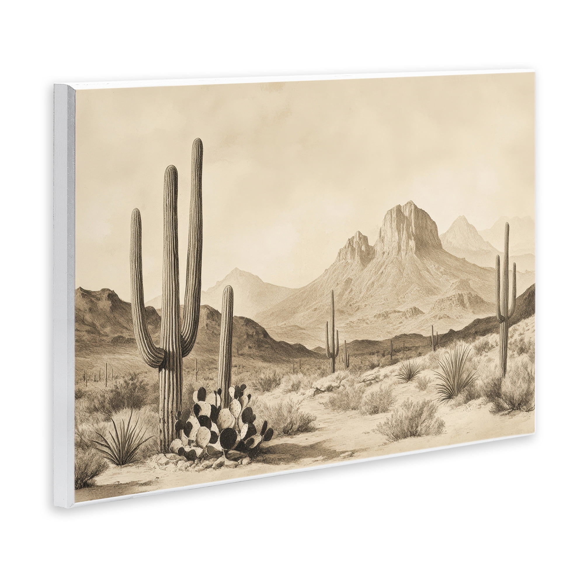 Stupell Industries Arizona Desert Vista Wall Plaque Art, design by Petal Prints Design