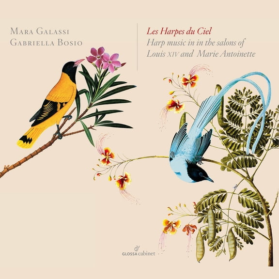 Gabriela Bosio - Galassi, M : Les Harpes Du Ciel - Music & Performance - CD