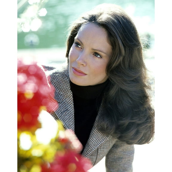 Charlie's Angels Featuring Jaclyn Smith Season One Image 24X36 Classic Hollywood Poster