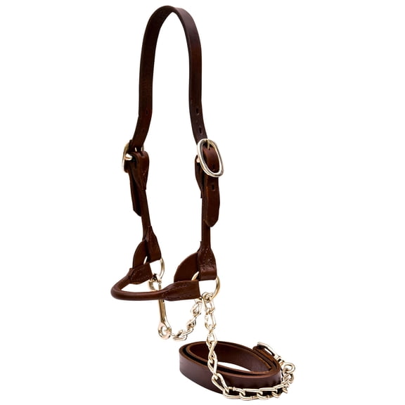 Weaver Leather Livestock Dairy/Beef Rounded Show Halter Brown ,Small