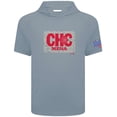 thumbnail image 2 of Men's Levelwear Gray Chicago Cubs 2025 Spring Training Phase Hoodie T-Shirt, 2 of 3