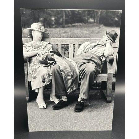 Happy Birthday (Sleeping on Bench) Greeting Card w/Envelope