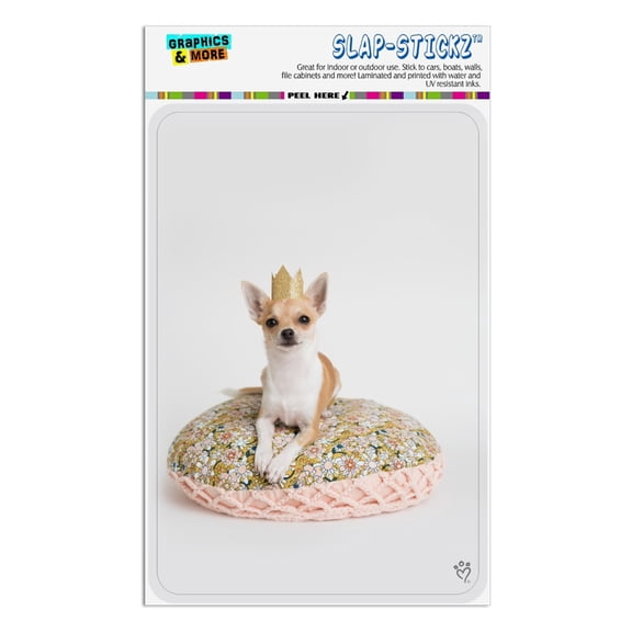 Chihuahua Cushion King Puppy Dog Home Business Office Sign