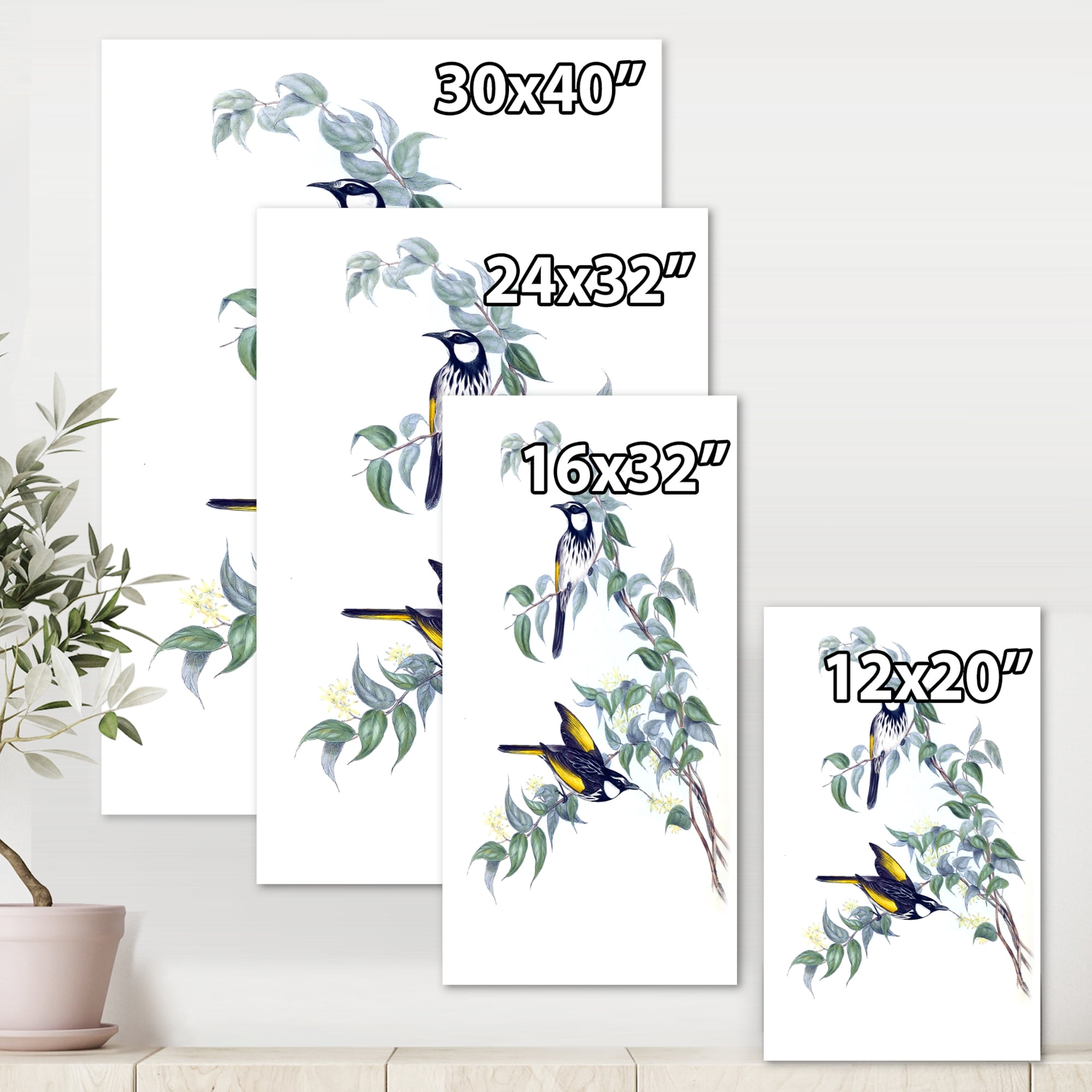 Ancient Australian Birds On A Branch 8 in x 12 in Painting Canvas Art Print, by Designart