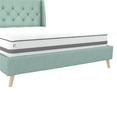 Novogratz Her Majesty Tufted Upholstered Bed Frame, Queen, Light Green