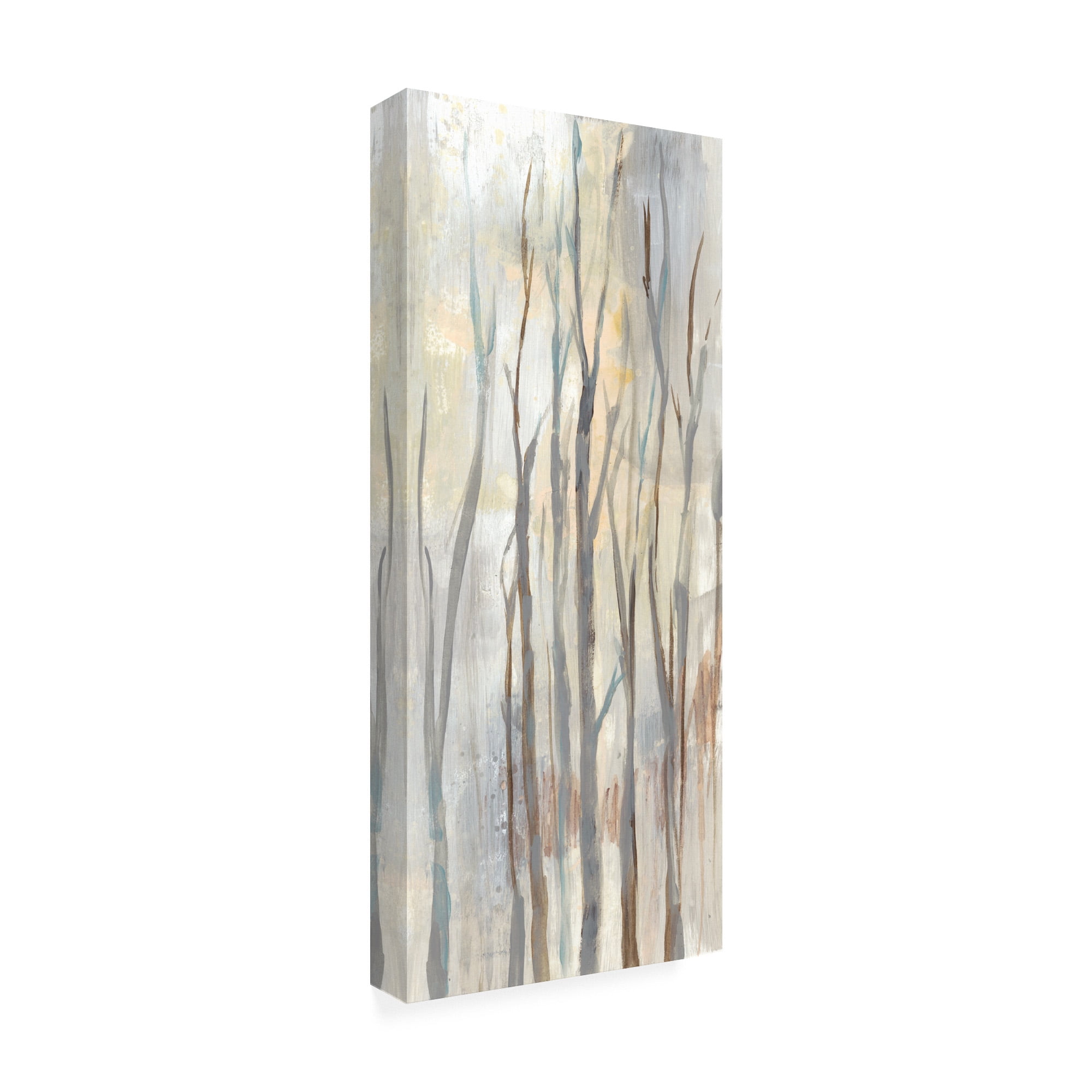 Trademark Fine Art 'Wispy Birches II' Canvas Art by Jennifer Goldberger