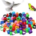 thumbnail image 1 of 100 Pcs Bird Foot Rings Bird Foot Rings Bird Leg Ring Foot Rings For Parrot, For Bird Identification Pigeon Chicken Duck Poultry(multicolor), 1 of 5