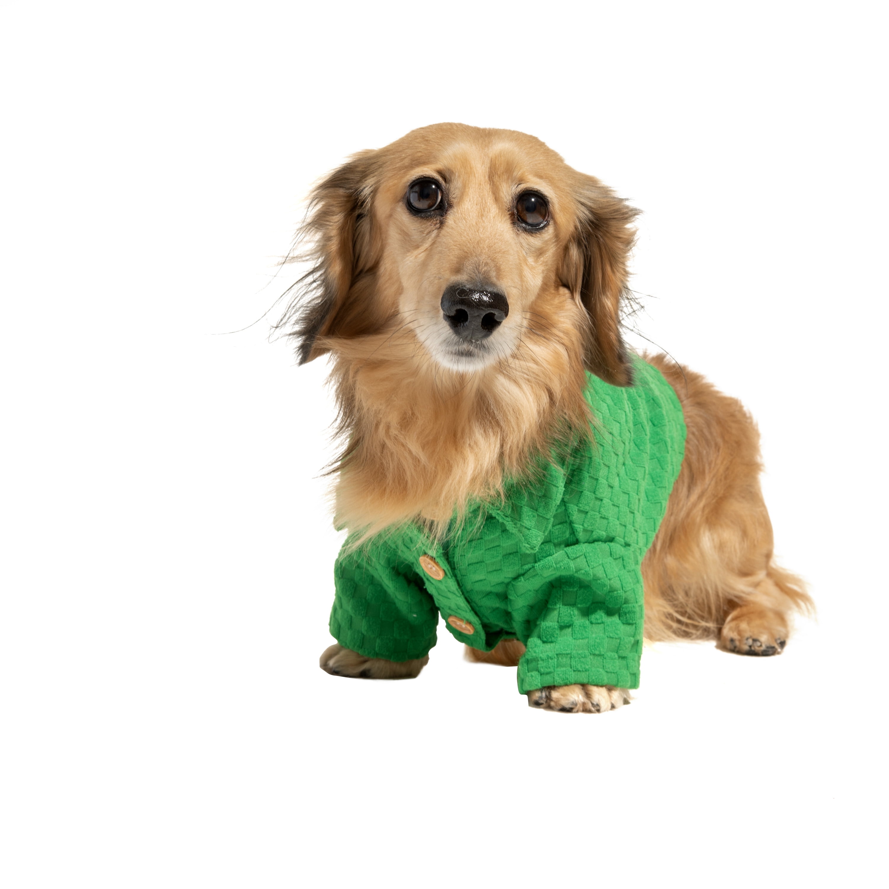 Oodles Green Boxy Button-Up Checkered Spring Dog T-Shirt, XS