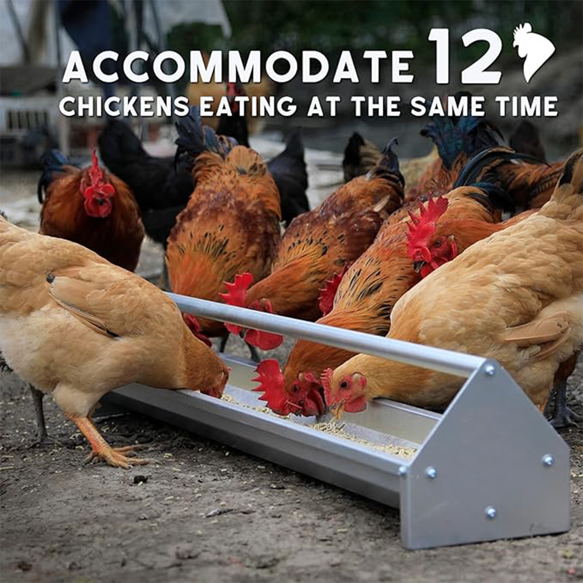 Kadyn 45" 2-in-1 Galvanized Steel Chicken Feeder with Adjustable Distance, Wall Mount Hay and Grain Feeder, Suitable for Sheep, Bantams, Poultry, Pheasants, Silver