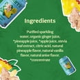 thumbnail image 4 of Nourrir Sparkling Pineapple Ginger Juice, Real Fruit, Tropical Zest & Spiced Warmth, Non-GMO, Gluten-Free, Non-Alcoholic, 90 cals, 0g Added Sugar (12-Pack), 4 of 7