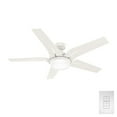 thumbnail image 4 of 51741-Casablanca Fans-Correne - 5 Blade 56 Inch Ceiling Fan with Handheld Control in Modern Casual Style and includes 5 Motor Speed settings-Fresh, 4 of 21