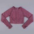 thumbnail image 1 of Conjunto de Yoga sin costuras, conjunto deportivo de 2 piezas, ropa de mujer, Top corto de gimnasia de manga larga, Leggings de cintura alta, conjunto de entrenamiento, ropa deportiva para Fitness, 1 of 5