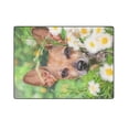 thumbnail image 3 of CADecor The Dogs in The Chrysanthemum Bushes Fleece Throw Blanket 58x80 inches, 3 of 3