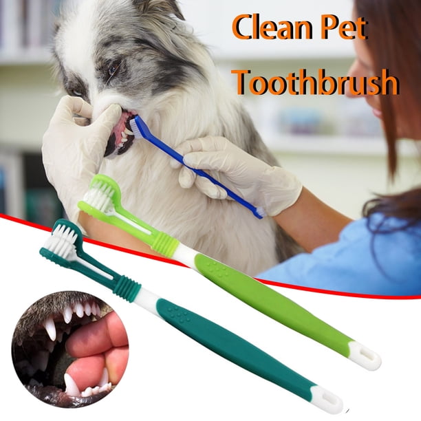 SCZ Headed Pet cepillo de dientes tres cabezas perro gato dientes cuidado limpieza boca herramienta