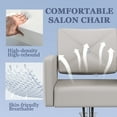 thumbnail image 5 of Salon Chair, Hair Chair, Salon Chair for Hair Stylist, Stylist Chair with Heavy Duty Hydraulic Pump, 360 Degrees Rolling Swivel Spa Beauty Equipment, Gray, 5 of 8