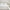 White, variant on Exclusivo Mezcla Ultrasonic King Size Quilt Set White, 3 Pieces Lightweight Bedspread Leaf Pattern Bed Cover Soft Microfiber Coverlet Bedding Set for All Seasons