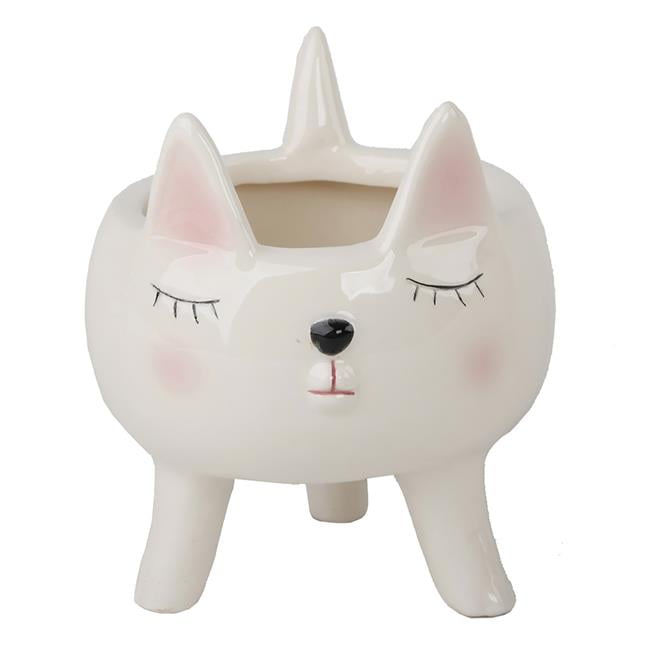 phantom cat softsoap