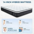 thumbnail image 6 of Queen Rose 14' ' Queen Medium Firm Hybrid Mattress, with Pocket Spring , Bed in-a-Box, 6 of 9
