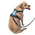 thumbnail image 3 of PUREYAH No-Pull Dog Harness, Adjustable Spiral Gradient Dots Reflective Oxford Vest Pet Harness for X-Large Dogs, 3 of 7