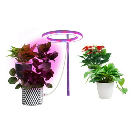 

Ring LED Plant Grow Light-Plant Growth Lamp|Indoor Potted Plants Led Growing Lamp|Succulent Desktop Hydroponics Led Growing Light with Automatic Timer