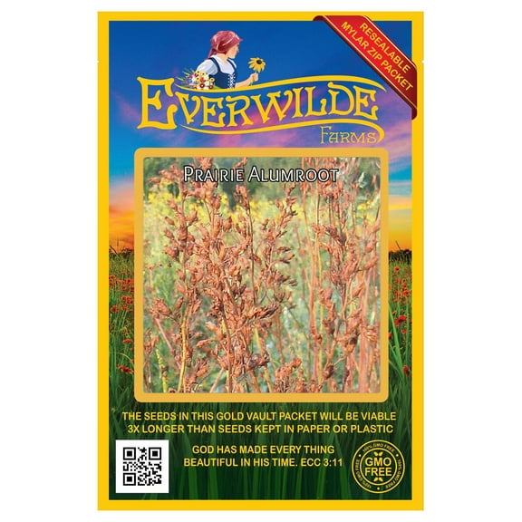 Everwilde Farms - 2000 Prairie Alumroot Native Wildflower Seeds - Gold Vault Seed Packet