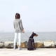 thumbnail image 5 of Correa Retráctil Con Luz Para Mascotas Perros 5 Metros, 5 of 8
