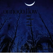 Orinoco Flow Enya for Orchestra