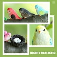 thumbnail image 4 of Oraceous 1 Set Tiny Easter Birds Egg Bird Nest Ornament Micro-landscape Adornments, 4 of 11