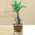 thumbnail image 3 of Coofit Artificial Succulent Plant Mini - Faux Potted Succulent Home Desktop Decoration, 3 of 4