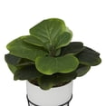 thumbnail image 5 of DecMode 19" Artificial Pilea Plant in Realistic Leaves and Metal Stand and White Pot, 5 of 9
