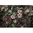 thumbnail image 5 of Komar 8-980 Modern Velvet Wall Mural, Pink, 5 of 5