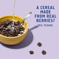 thumbnail image 2 of Seven Sundays Cereal, Real Berry 8 oz, Grain & Gluten free Cereal, 2 Pack, 2 of 7