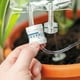 thumbnail image 2 of Dispositivo de riego por goteo para plantas de interior, sistema de riego automático, accesorios para el hogar, riego de plantas de interior, 350ml, 2 of 5