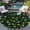 A, variant on SENYUM Upgrade Abstract Floral Modern Waterproof Round Outdoor Rug for Backyard Garden Patio Deck Balcony Porch Reversible Circle RV Camping Carpet Kitchen Laundry Bathroom Floor Rug Mat
