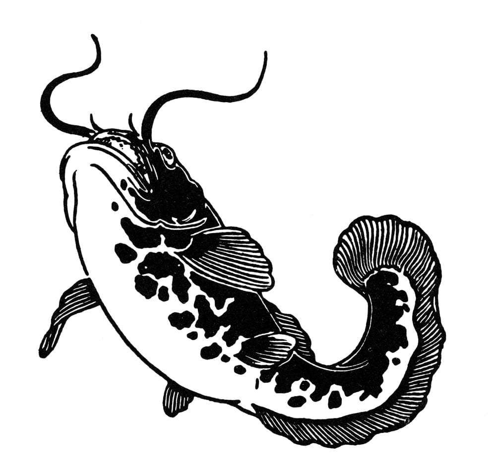 Shinto: Giant Catfish. /Nin Shinto Animism, Lives At The Bottom Of The  Ocean Under Japan And Whose Movements Are The Source Of Earthquakes.  Japanese Woodcut. Poster Print by Granger Collection - Walmart.com
