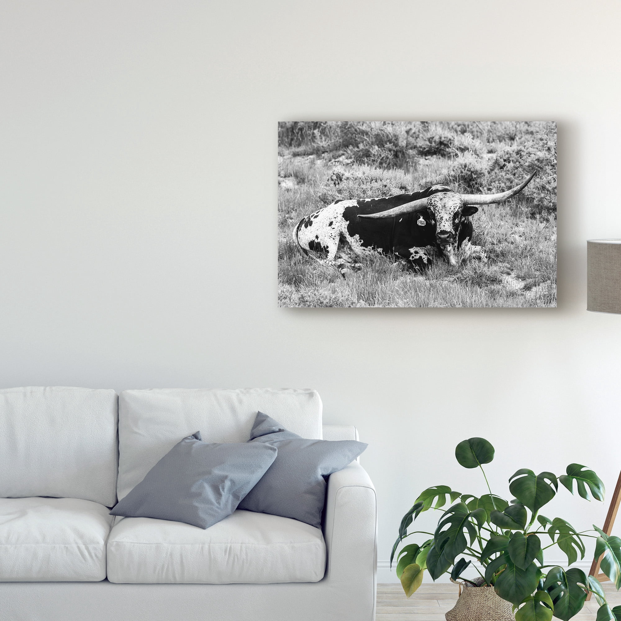 Trademark Fine Art 'B&W Longhorn I' Canvas Art by Tyler Stockton