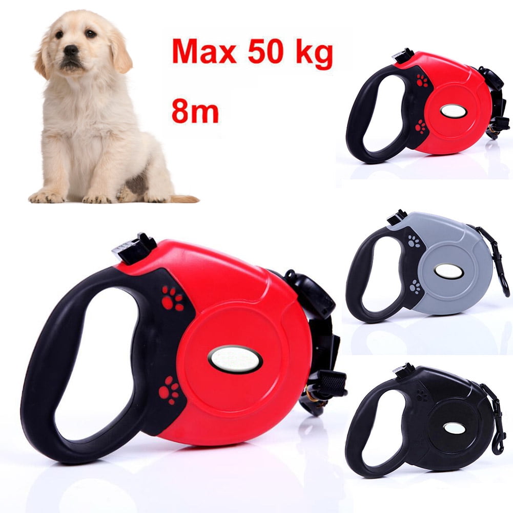 discount dog leashes
