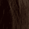 4W Dark Mocha Brown