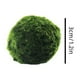 thumbnail image 2 of Bolas de musgo Marimo en vivo para acuarios y peceras | Decoración de acuarios naturales | Absorber impurezas | Apto para principiantes | Seguro para mascotas | Bolas gruesas de musgo de 4 cm, 2 of 7