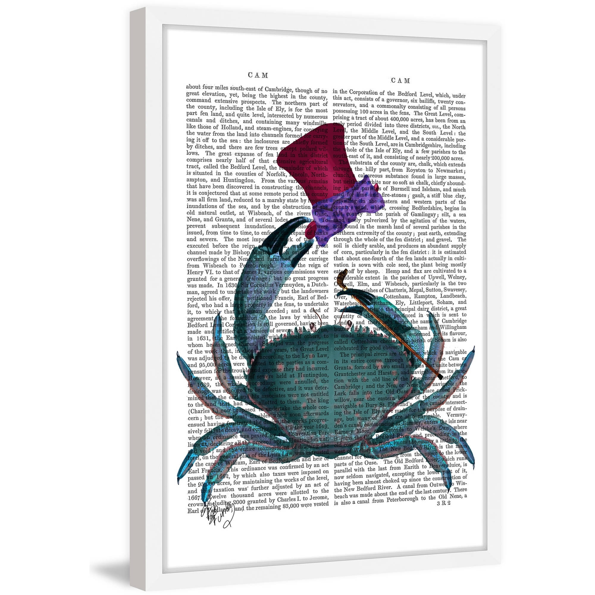 Marmont Hill "The Dandy Crab" Framed Painting Print