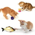 thumbnail image 4 of 32 PCS Cat Toys Kitten Toys, Variety Catnip Toys with Rainbow Tunnel Interactive Cat Feather Teaser Spring Toy Set for Cat, Kitty, 4 of 8