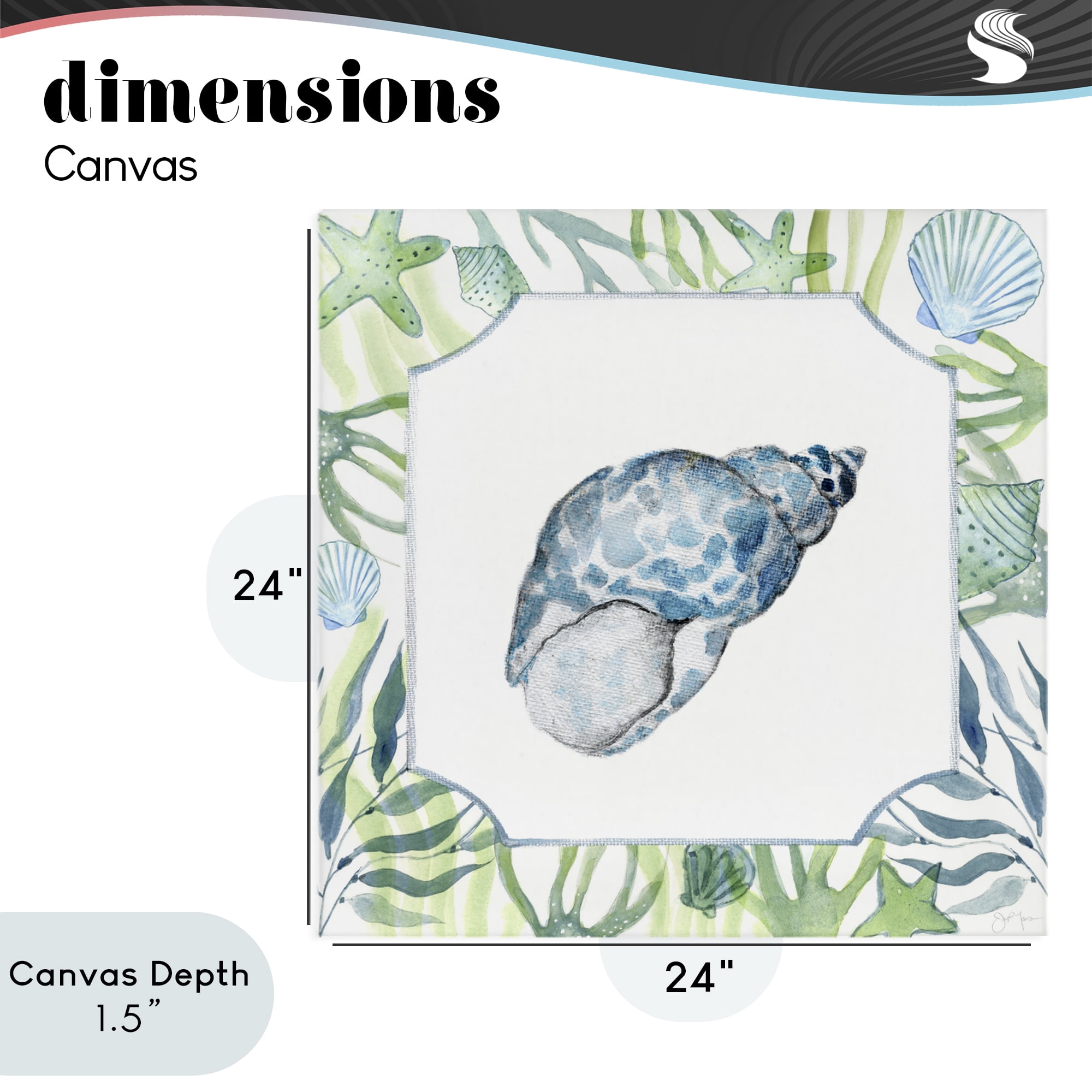 Stupell Industries Spotted Cowrie with Seaweed Canvas Wall Art, design by Janet Tava