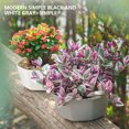 thumbnail image 1 of pitrice Simple Flower Pot Set Planter Succulent Plants Large Opening Bottom Tray Indoor Flowerpot Household Durable Holder White, 1 of 9