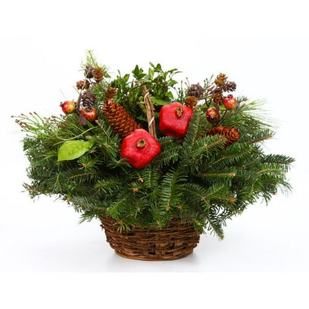 real christmas trees delivered fresh live fraser fir real christmas trees delivered fresh live fraser fir