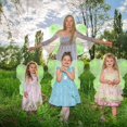 thumbnail image 4 of Alas de mariposa Chivao de Fairy Wings, 10 unidades, color verde claro, 4 of 8