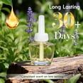 thumbnail image 2 of Plug Ins Refills Air Freshener 6 Pack, Polo Santo, Eucalyptus, Sage, Baby Powder Long Lasting Plug in Refills, Compatible with Air Wick & Glade, 2 of 4